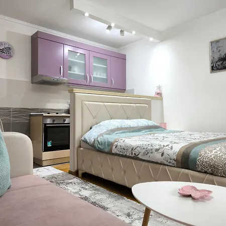 Lejlighed Alex 2 Vrnjačka Banja