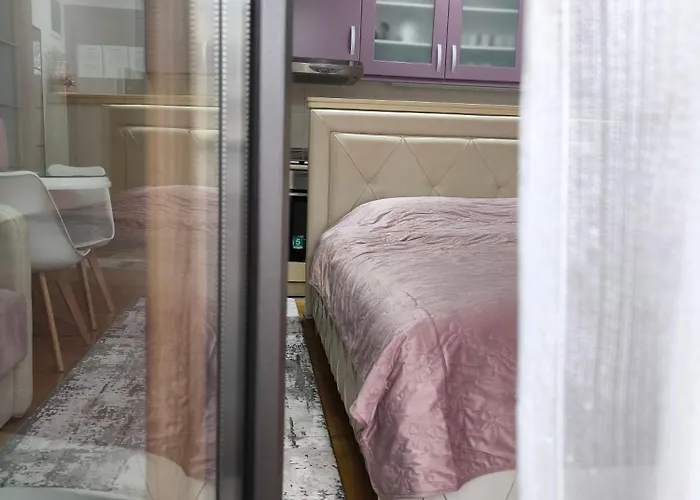 Alex 2 Lejlighed Vrnjačka Banja