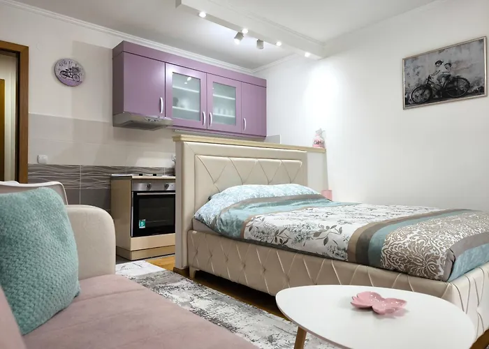 Lejlighed Alex 2 Vrnjačka Banja