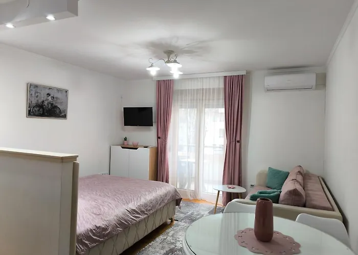 Alex 2 Lejlighed Vrnjačka Banja